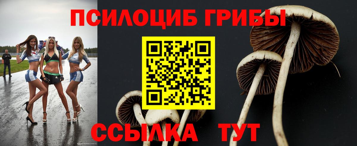 Выборг  Галлюциногенные грибы прущие грибы  Вход с VPN 